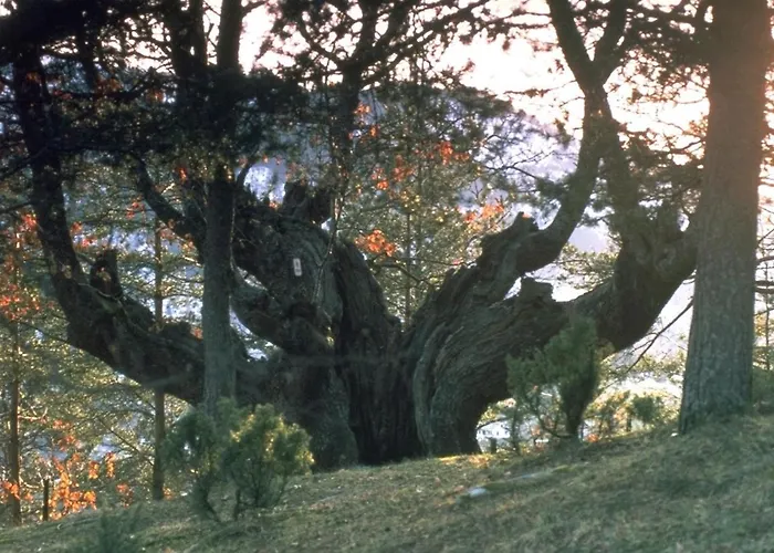 Hardanger Feriesenter Neshagen * Norheimsund